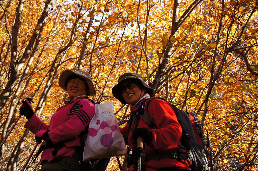 DSC04284.jpg