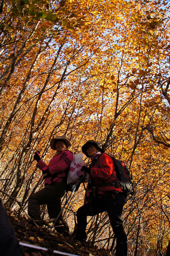 DSC04283.jpg