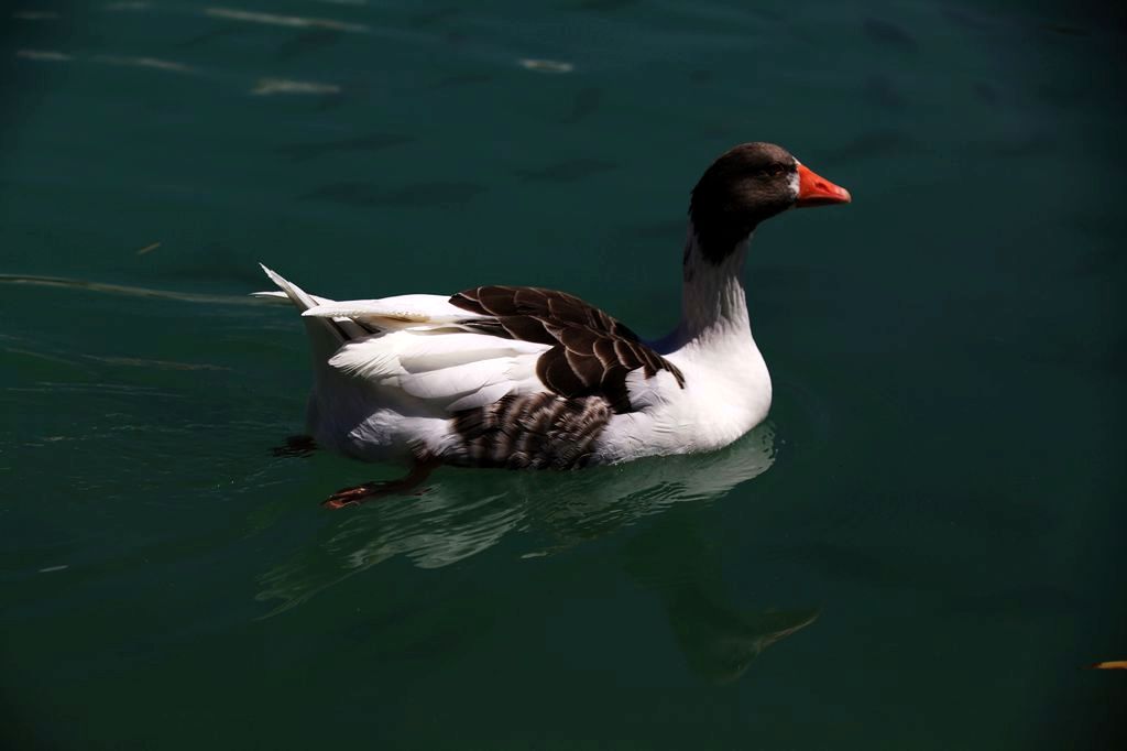 nEO_IMG_IMG_1151.jpg