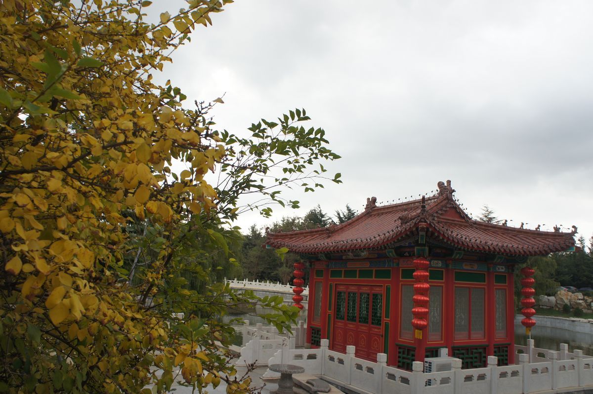 DSC07608.JPG