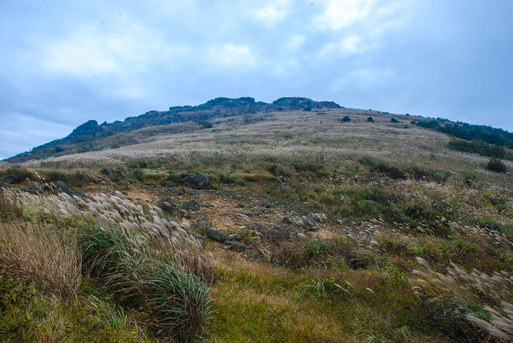 DSC_5412 副本.jpg