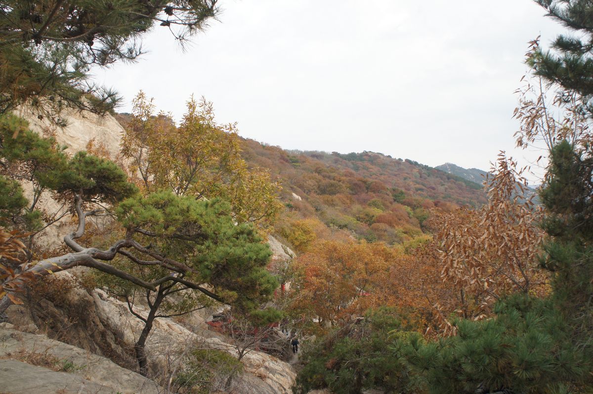 DSC07774.JPG