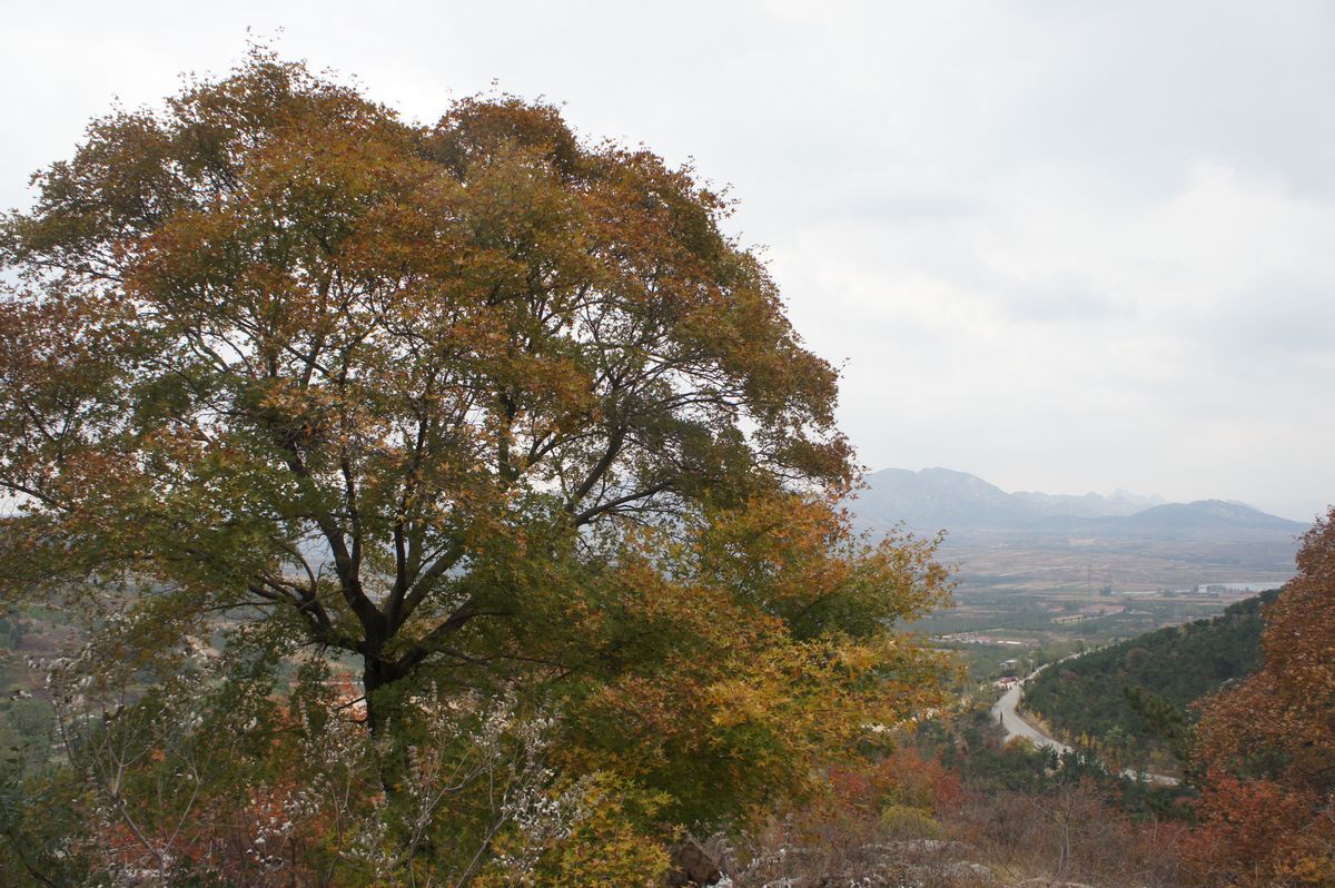 DSC07764.JPG