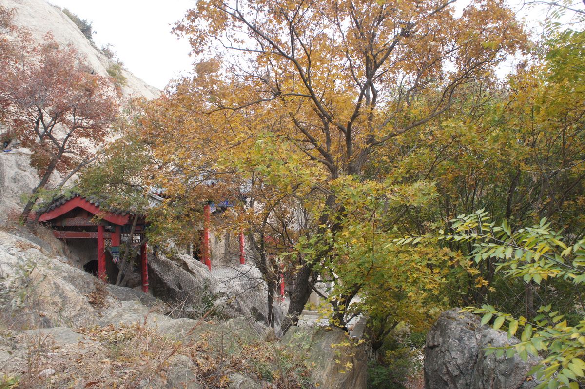 DSC07780.JPG
