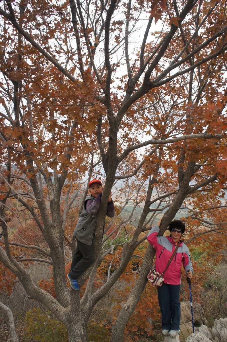 DSC07792.JPG