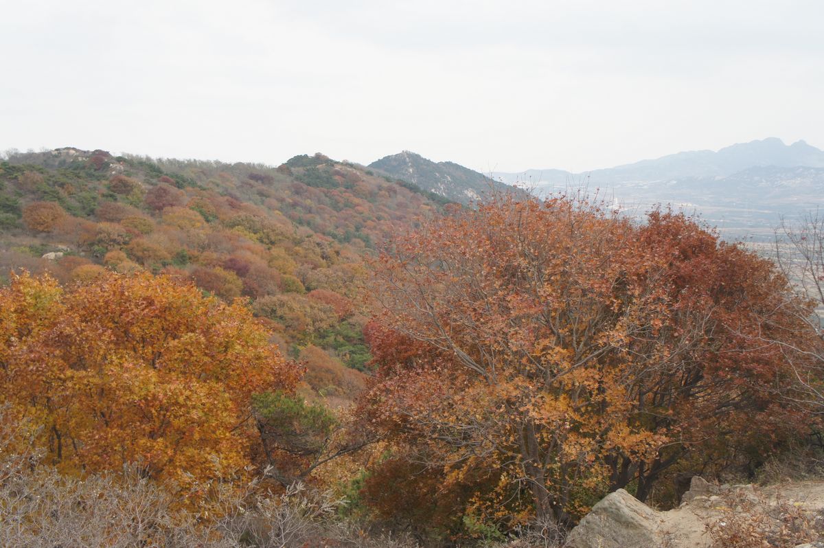 DSC07788.JPG