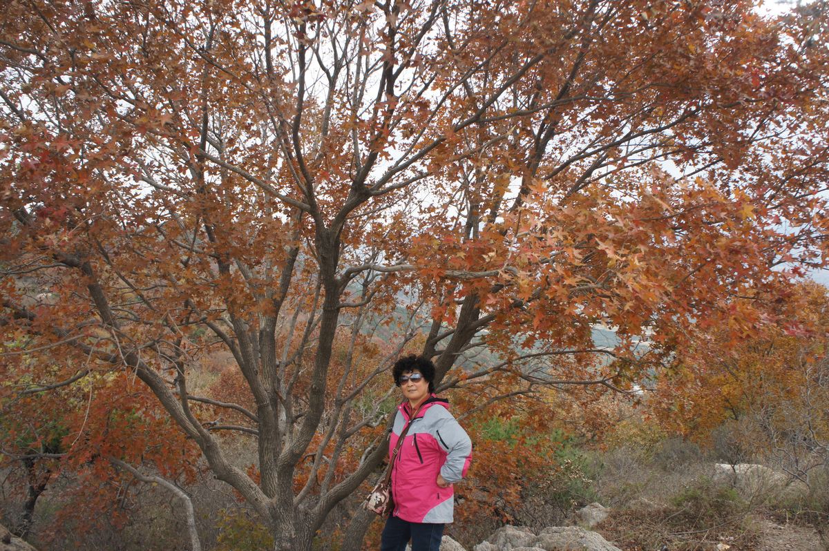DSC07790.JPG