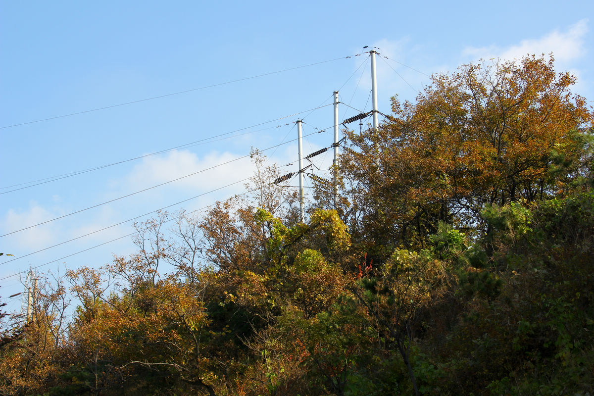 11月3日大南山 069.jpg