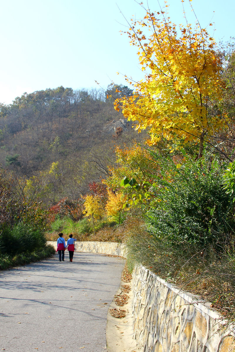 11月3日大南山 089.jpg