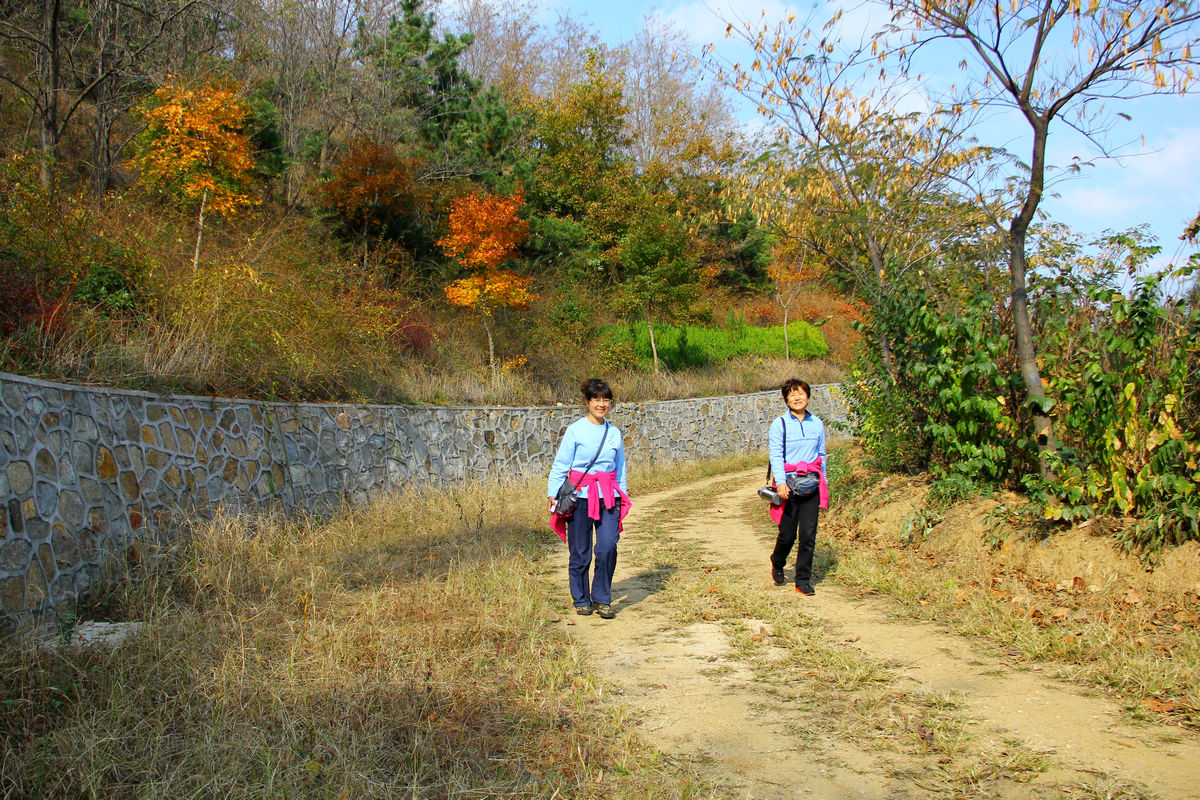 11月3日大南山 098.jpg