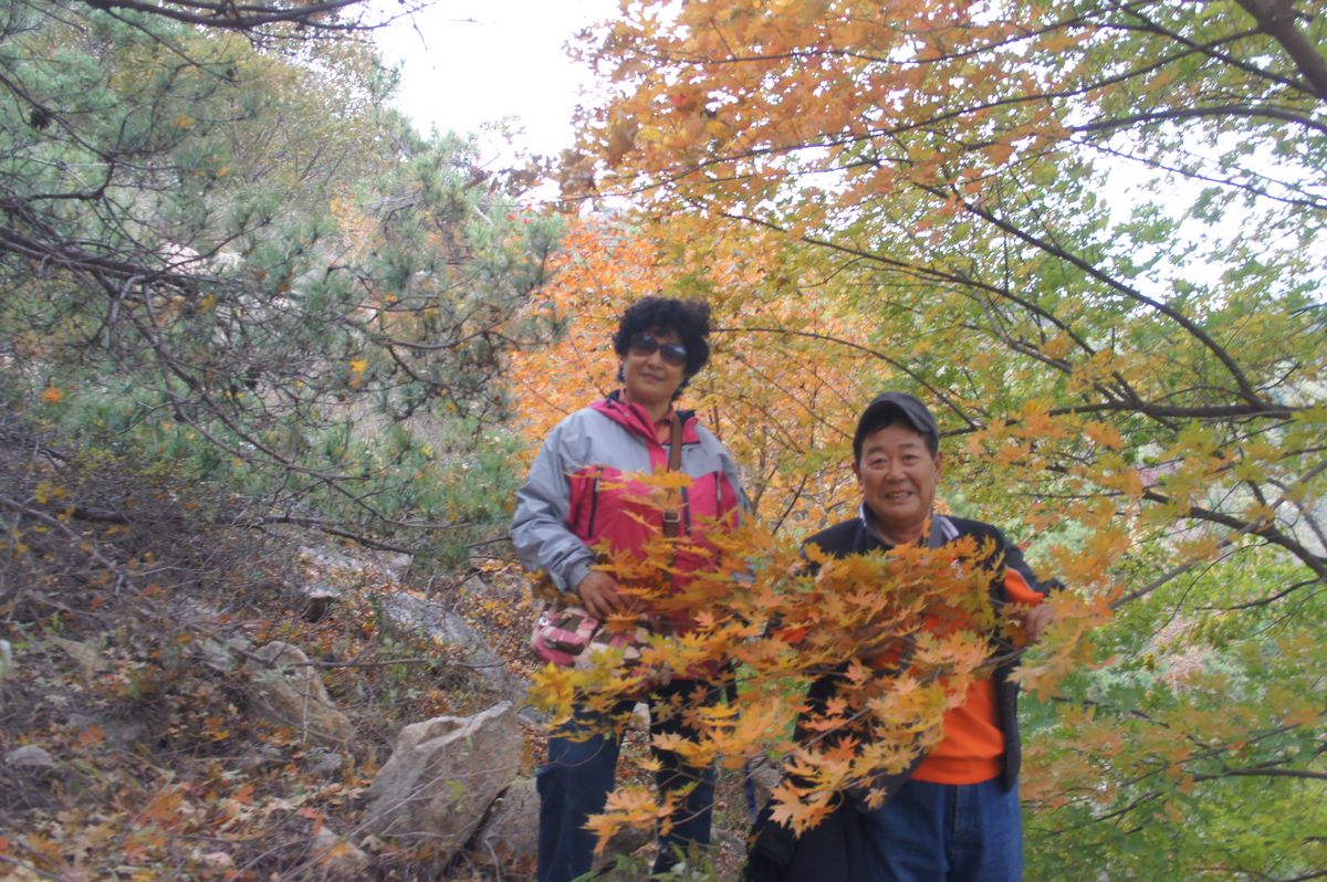 DSC07884.JPG