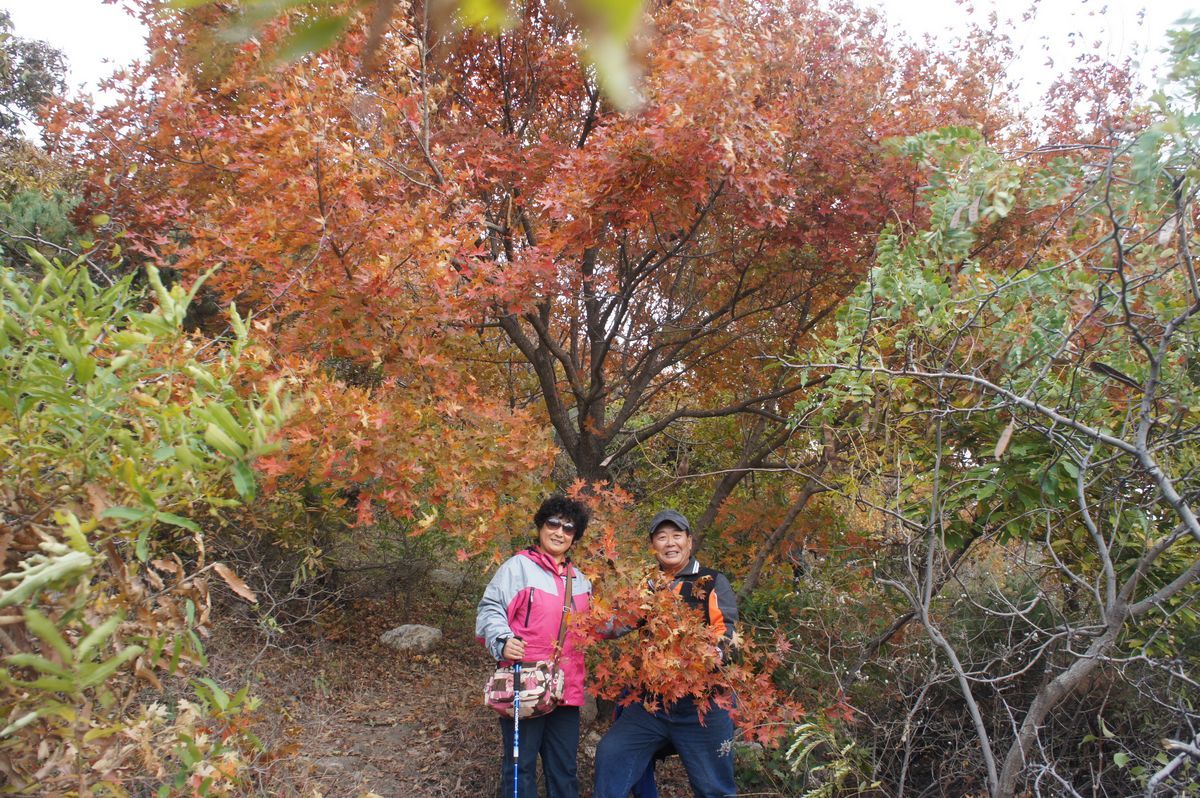 DSC07806.JPG