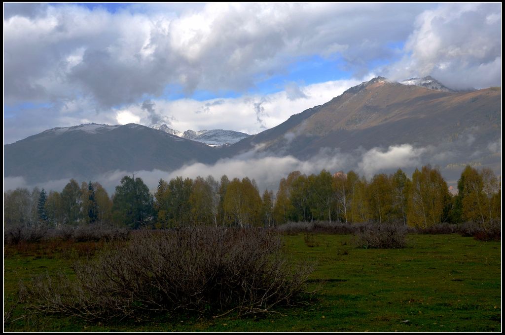 DSC_0835.jpg