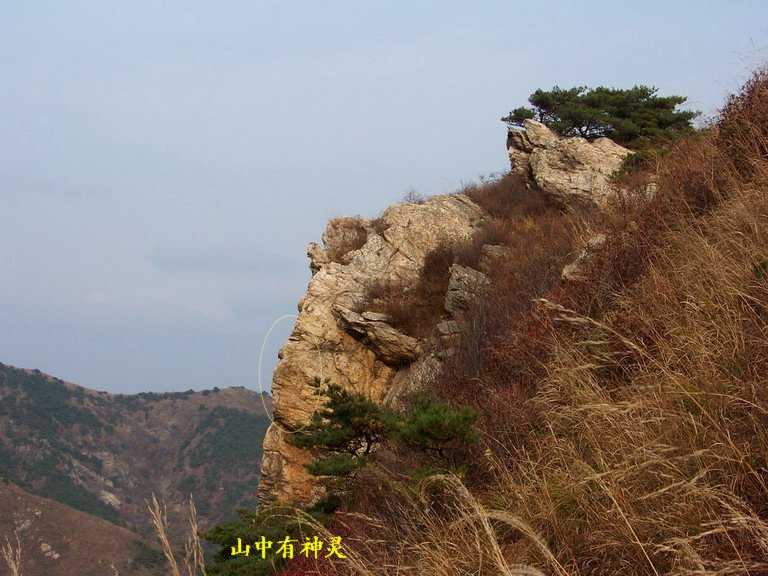 122_6178_缩小大小.JPG