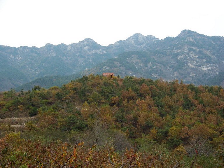 122_6208_缩小大小.JPG
