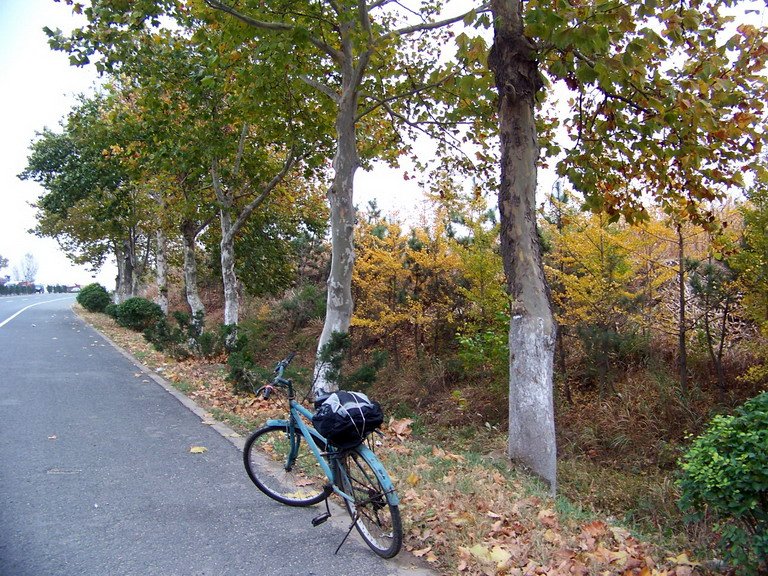 122_6228_缩小大小.JPG