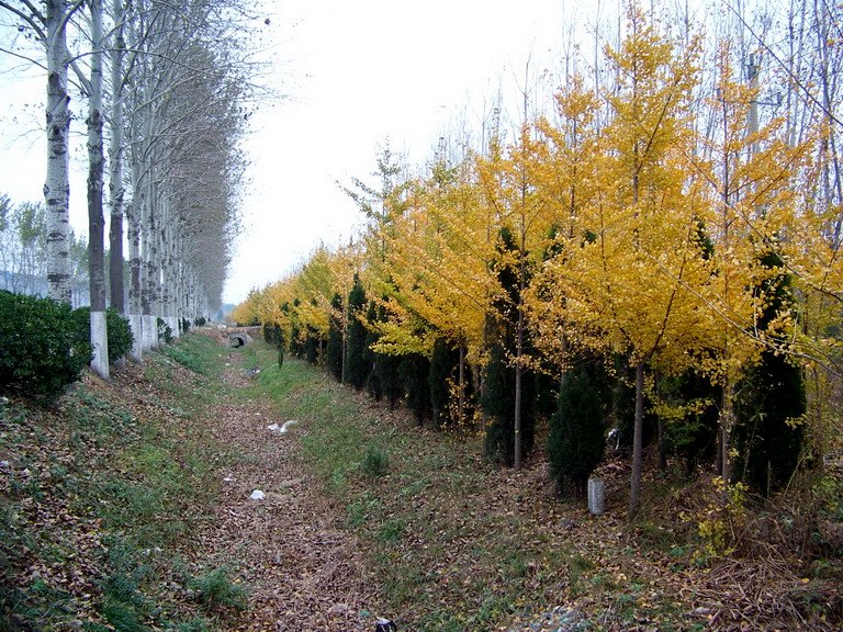 122_6230_缩小大小.JPG