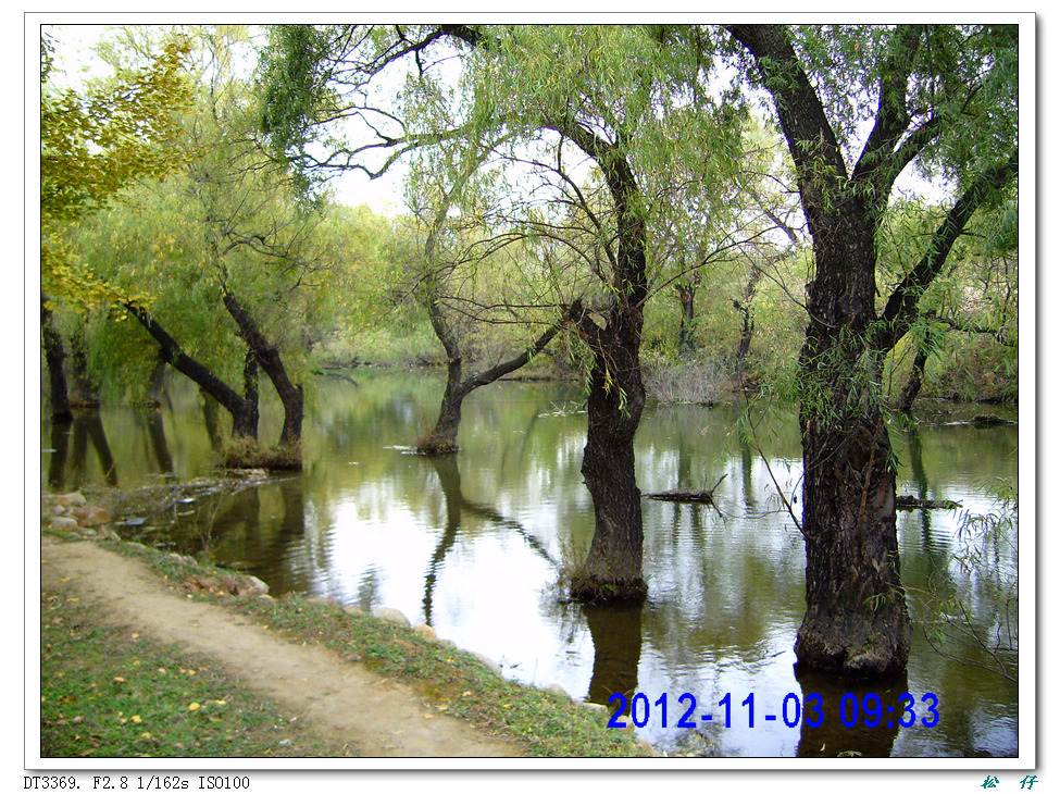 PICT1657.jpg
