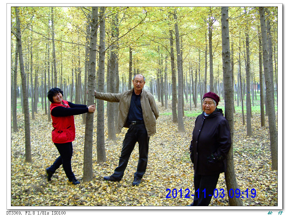 PICT1590.jpg