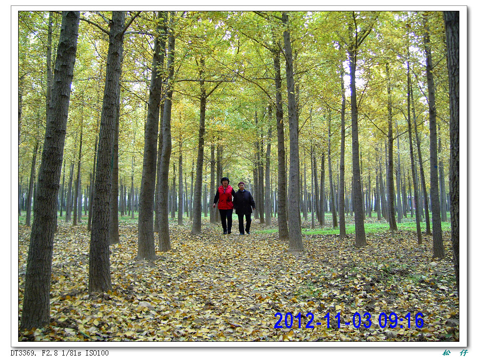PICT1573.jpg
