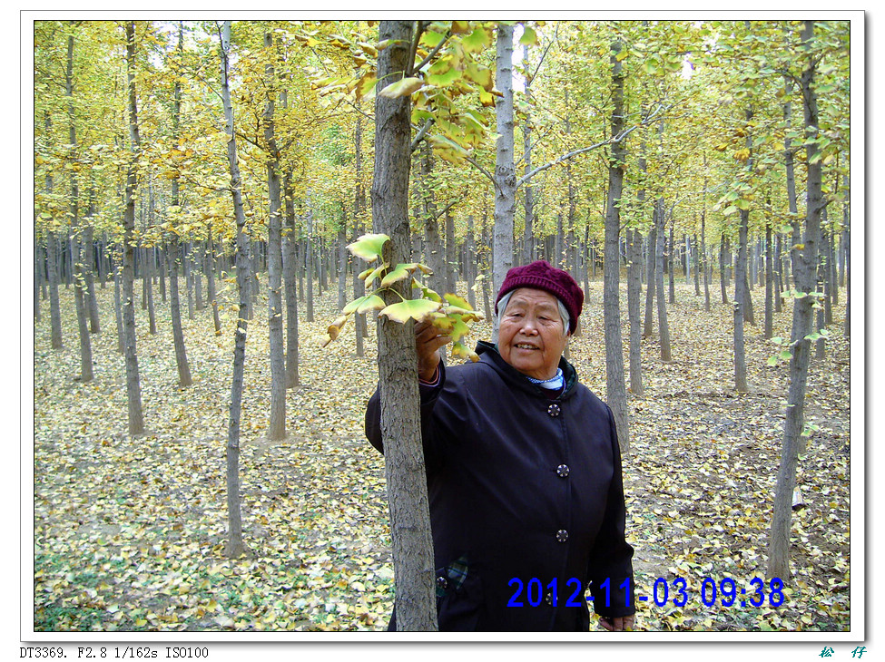 PICT1675.jpg
