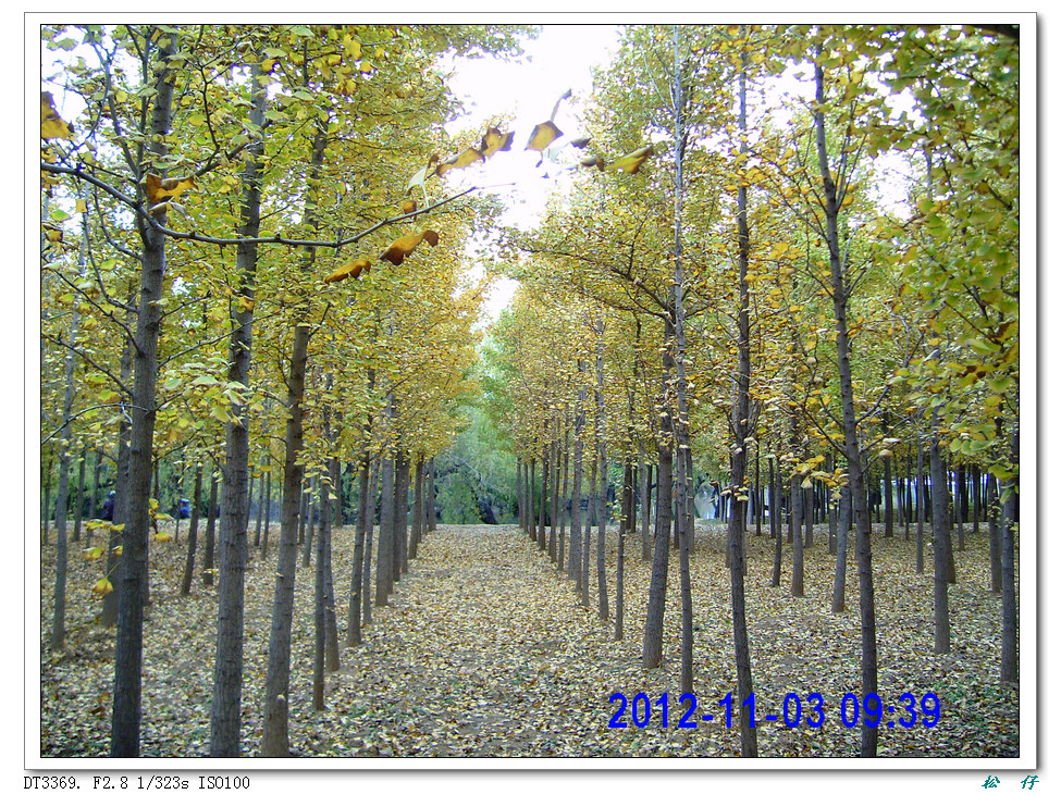 PICT1680.jpg
