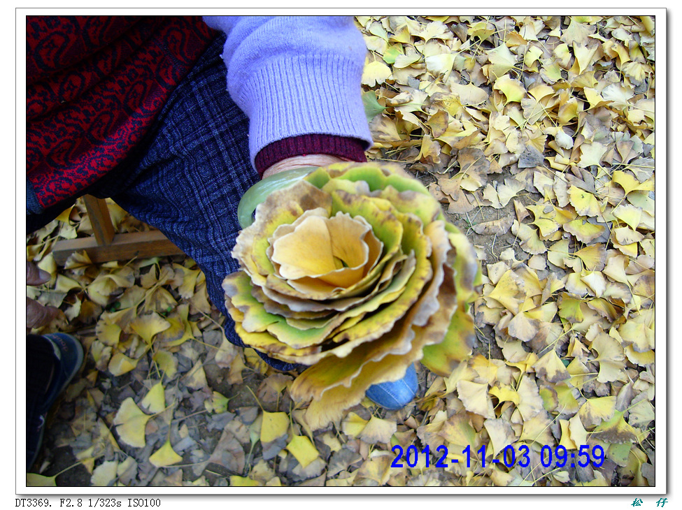 PICT1718.jpg