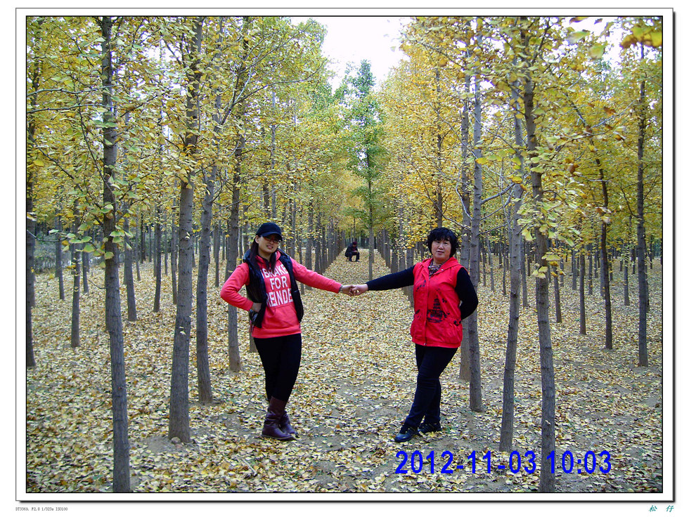 PICT1727.jpg