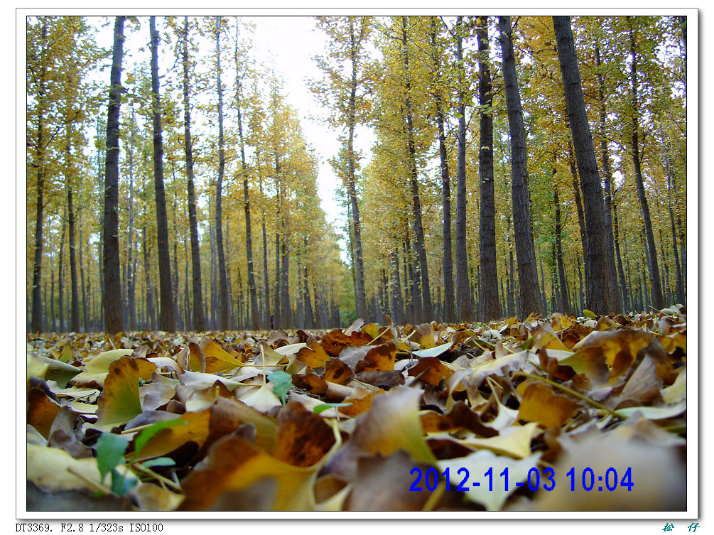 PICT1730.jpg