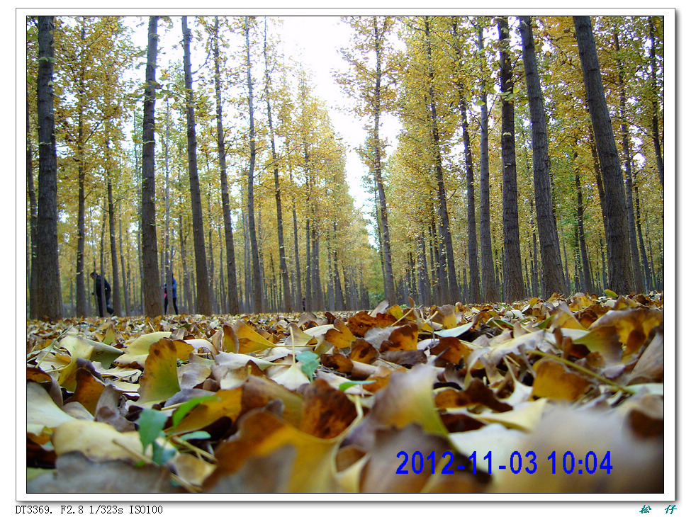PICT1729.jpg