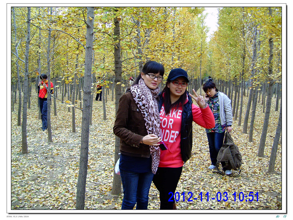 PICT1798.jpg
