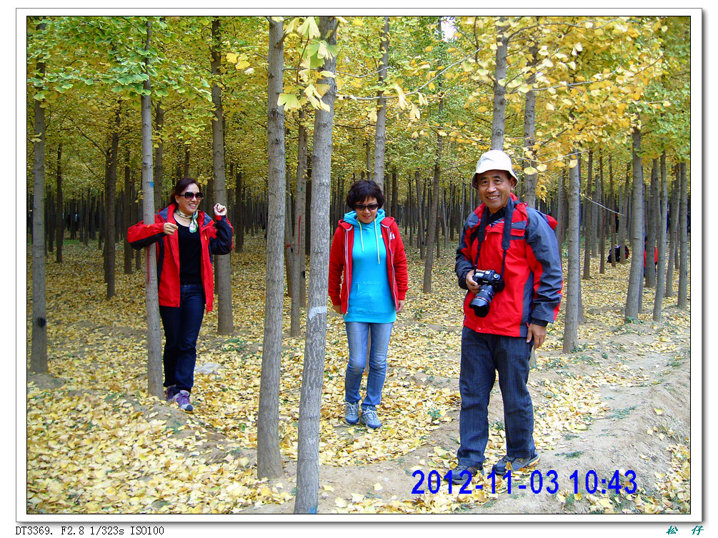 PICT1795.jpg