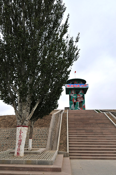 4900.jpg