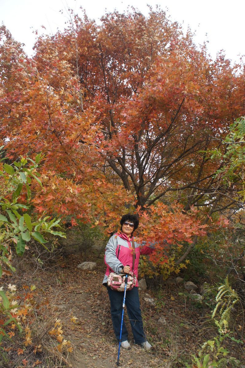 DSC07805.JPG