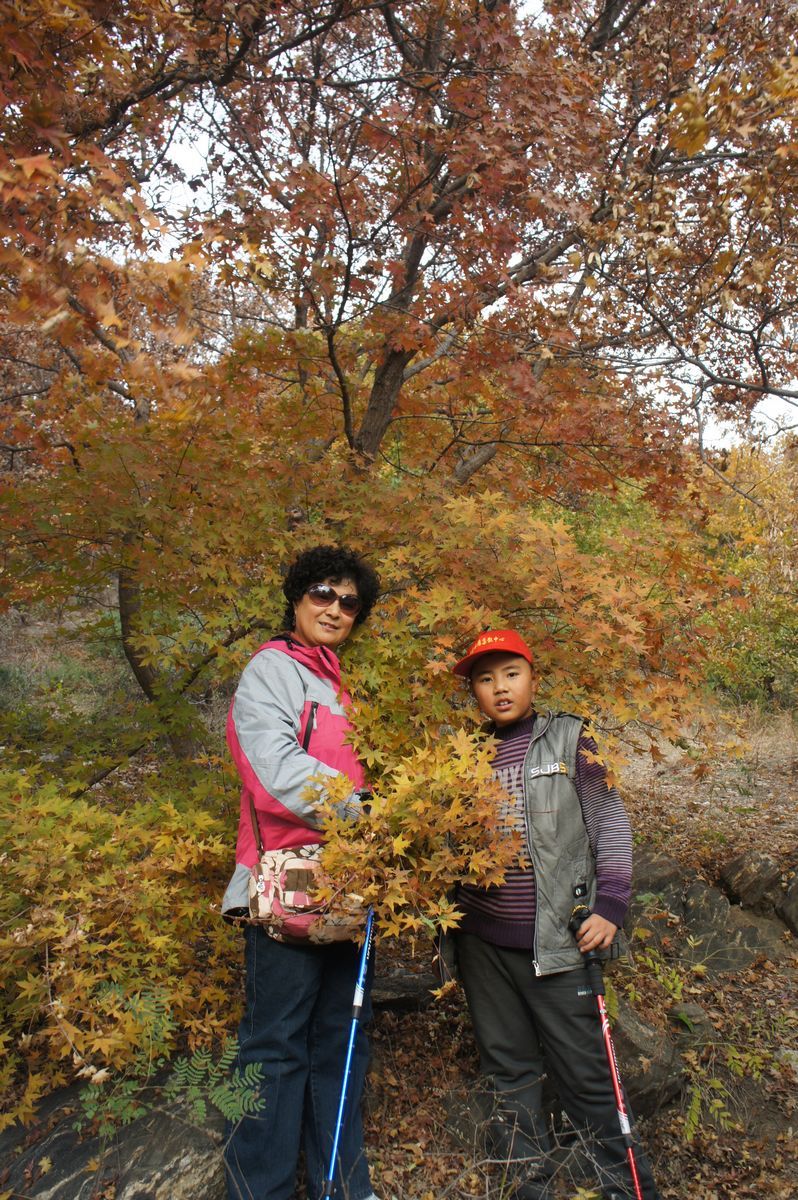 DSC07809.JPG