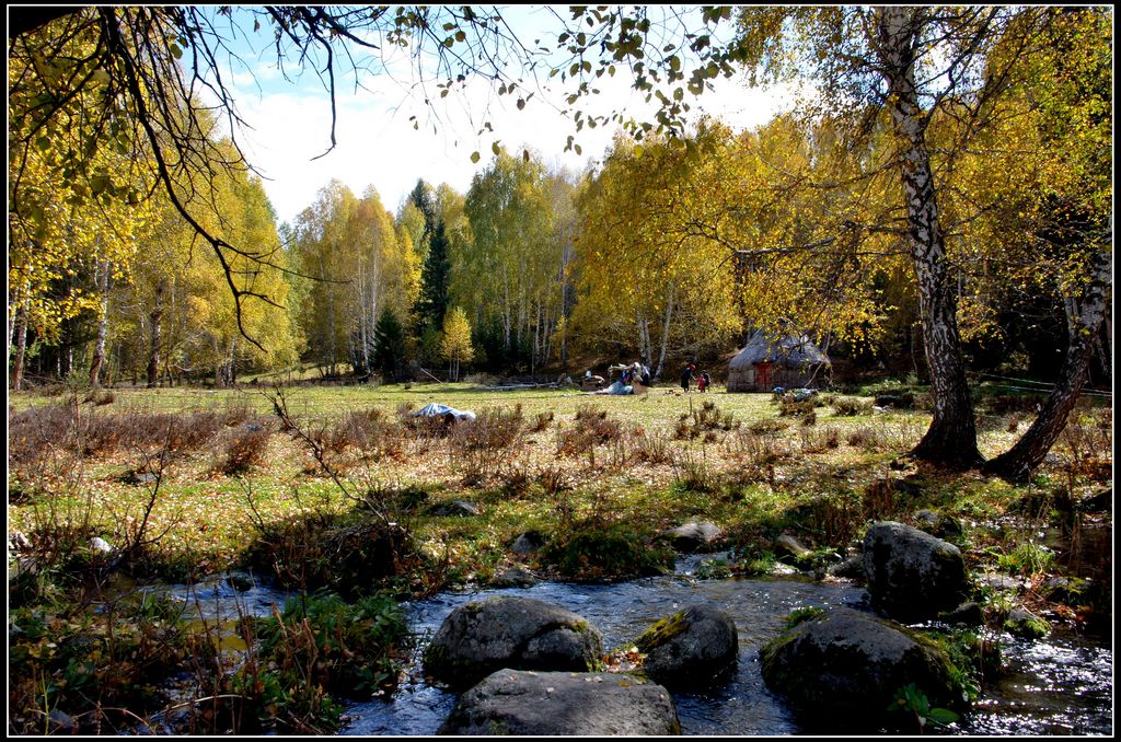 DSC_0890.jpg