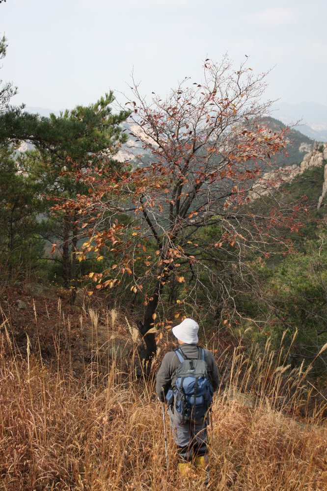 IMG_7894_旋转.JPG