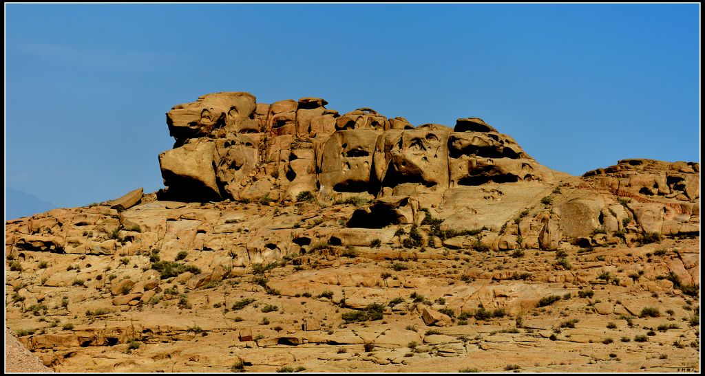 DSC_5579.jpg