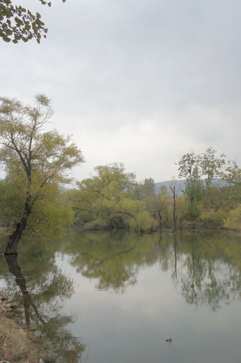 DSC07702.JPG
