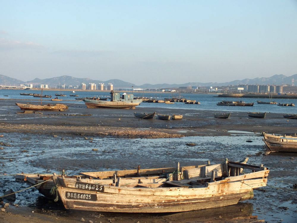 DSCF8530.JPG