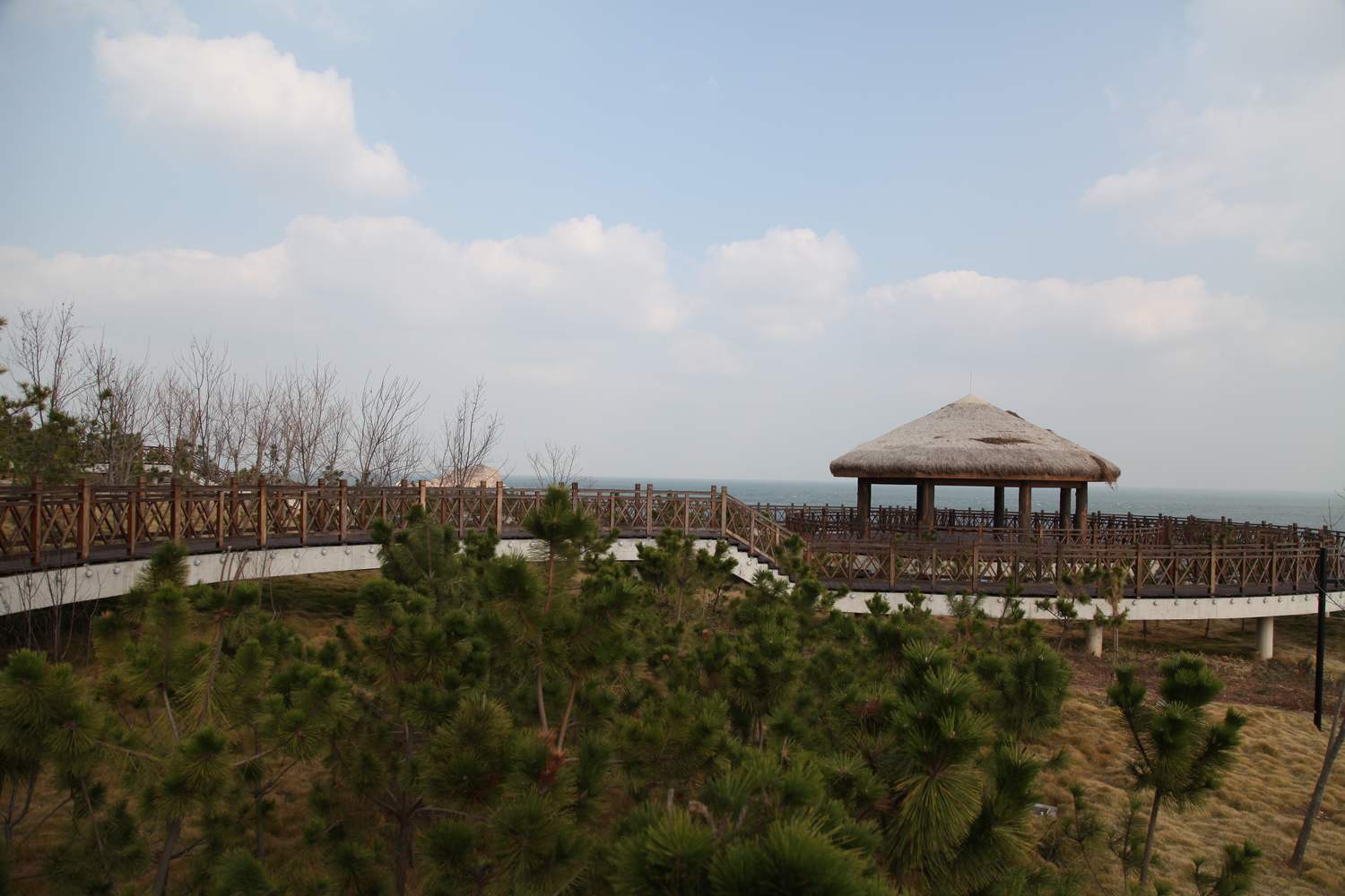 养马岛 085.jpg
