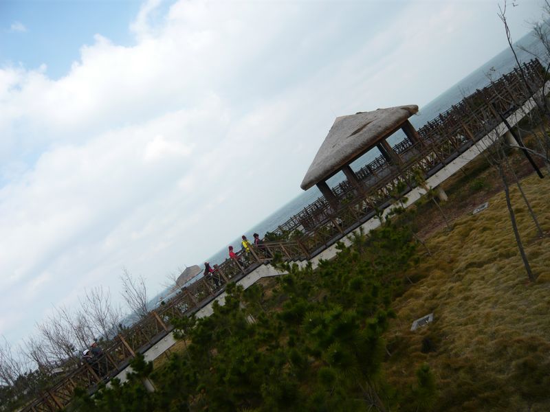 P1050473.JPG
