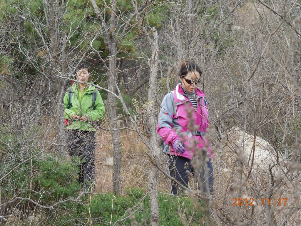 DSCN3670.jpg