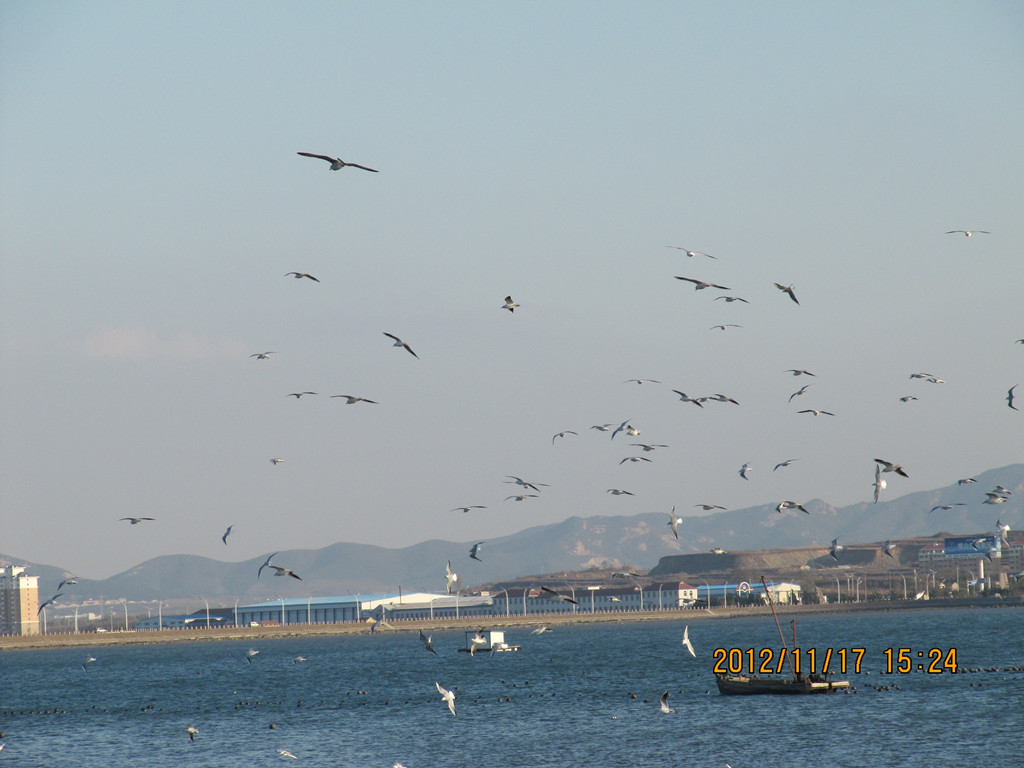 IMG_0140_副本.jpg