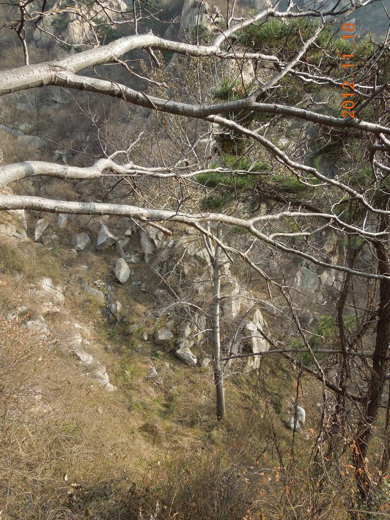 DSCN3879.jpg
