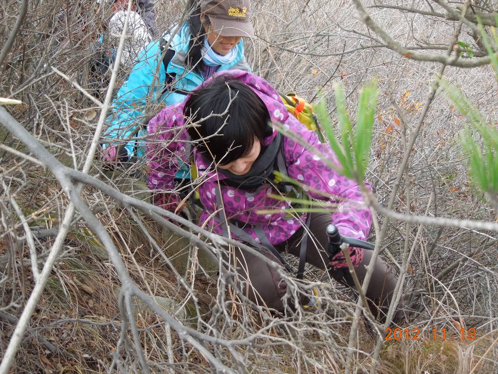 DSCN4032.jpg