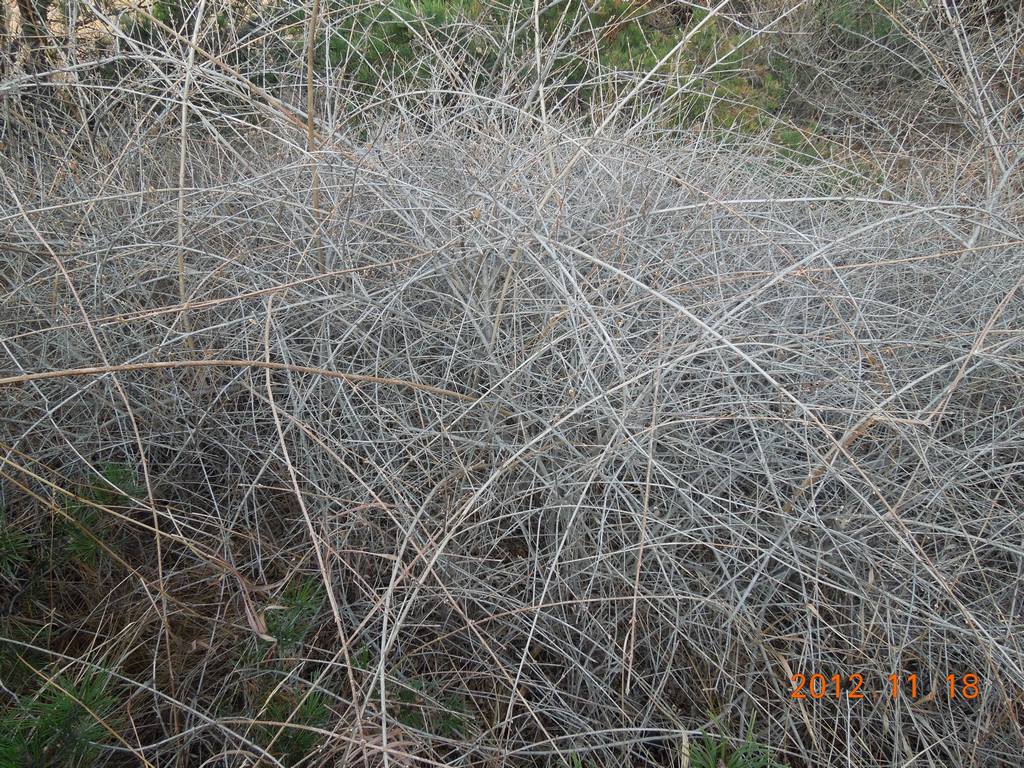 DSCN4059.jpg