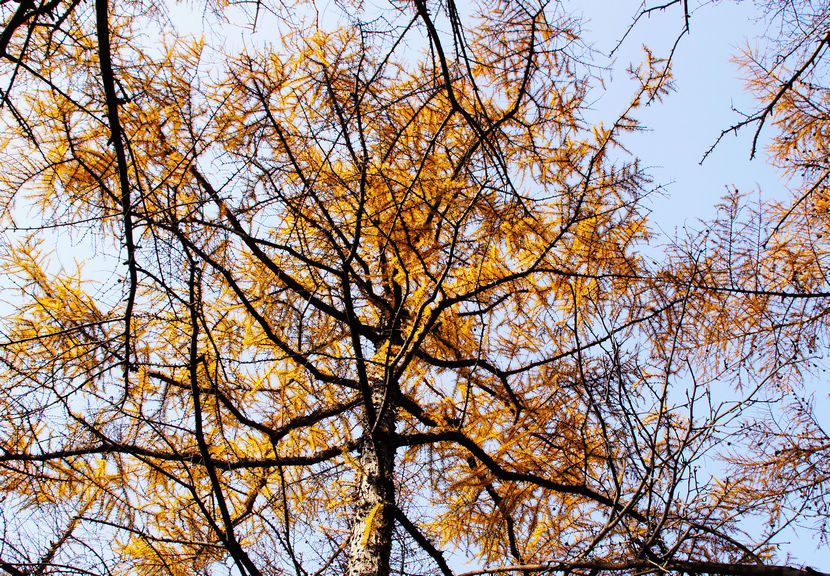 DSC05145.JPG