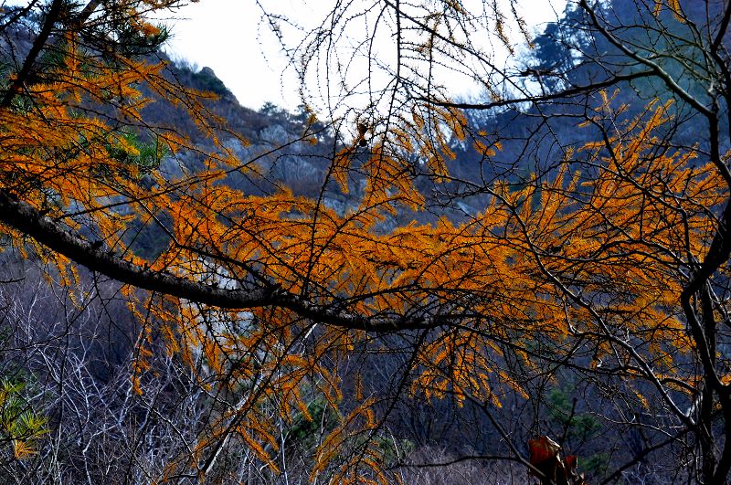 DSC_0103.JPG