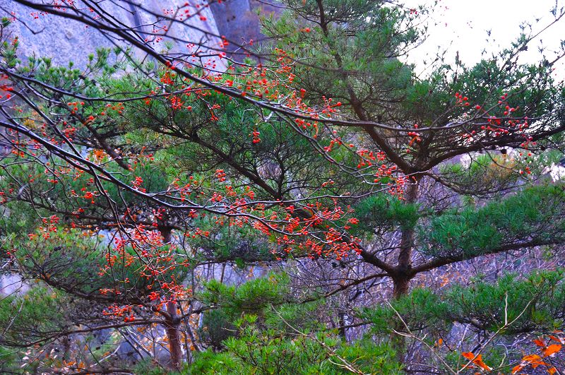 DSC_0132副本.jpg